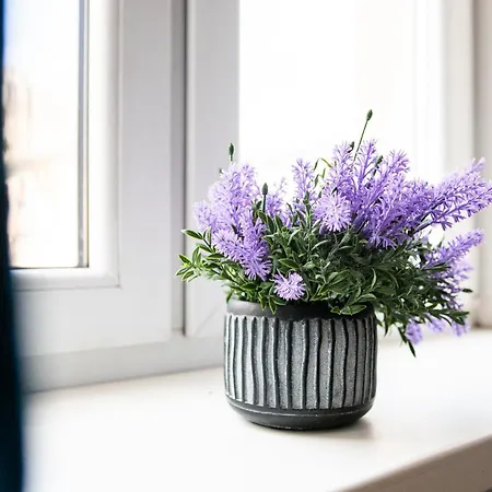 Apartment Centrum Struga 46 P3 *