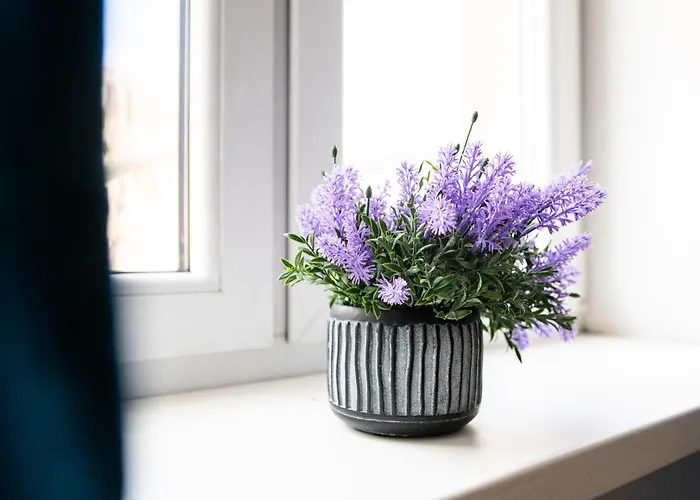 Apartment Centrum Struga 46 P3 *